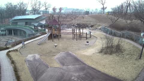 Abandonment, scene before the event