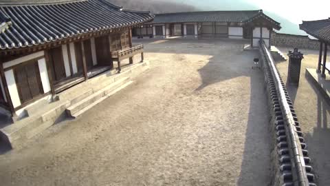 Violence, scene before the event